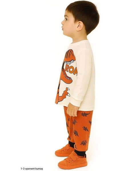 Kahverengi Dinozor 1-3 Yaş Çocuk Alt Üst Takım fiyatları