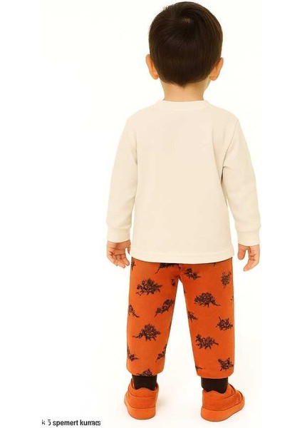 Kahverengi Dinozor 1-3 Yaş Çocuk Alt Üst Takım modelleri
