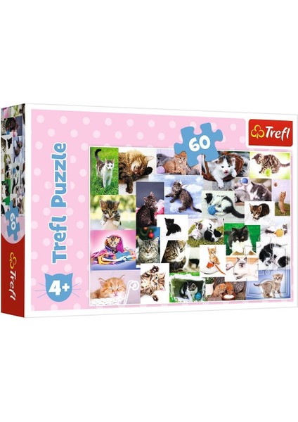 17332 Kedi Dünyası 60 Parça Puzzle -Trefl Puzzle