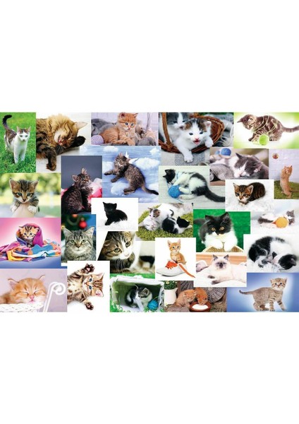 17332 Kedi Dünyası 60 Parça Puzzle -Trefl Puzzle fiyatları