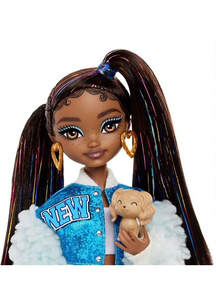 HYC22 Barbie Dream Besties Ana Karakter Bebeklers Brooklyn modelleri