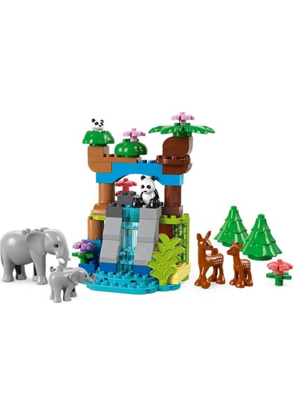 10446 LEGO Duplo 3ü1 Arada Vahşi Hayvan Aileleri 92 Parça +2AŞ modelleri