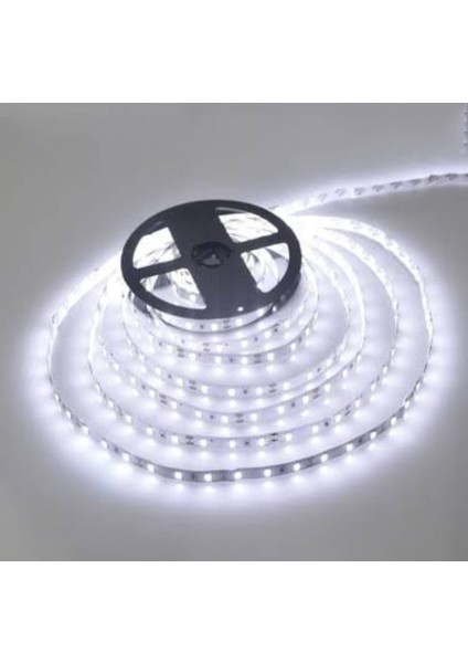 4040 Şerit LED 10 Metre 6500K Beyaz ( YL40-4001 ) + Noas 12.5 Amper 150 Watt Süper Slim LED Trafo fırsatları