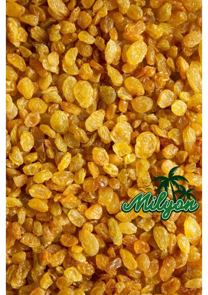 Yeni Mahsül Sultaniye Üzümü Çekirdeksiz 1kg