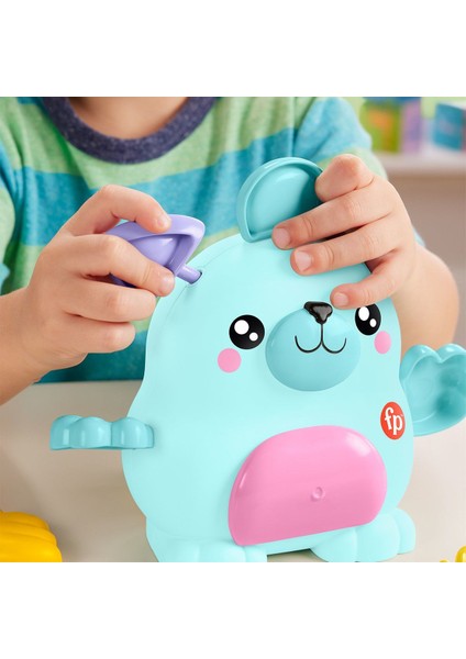 HXP18 Fisher-Price Karıştır ve Eşleştir Hayvan Dostları indirimleri