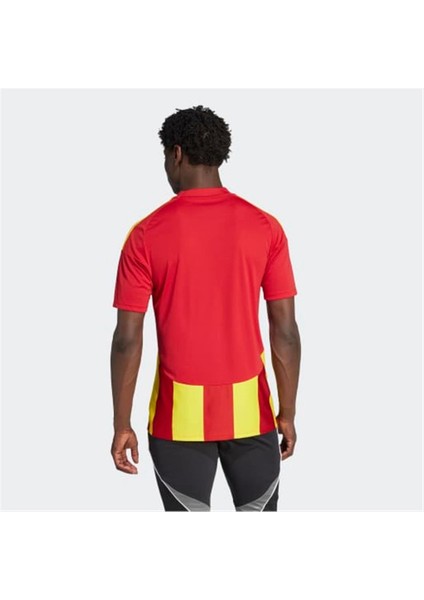 Strıped 24 Jsy Forma fırsatları