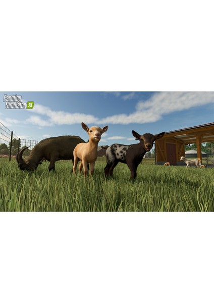 Farming Simulator 25 Ps5 (Dijital Ürün) modelleri