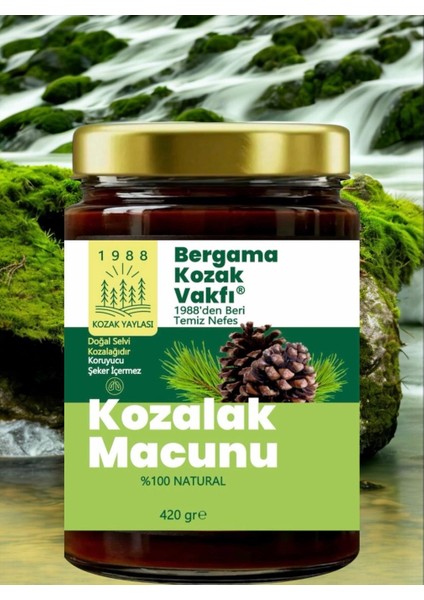 Bergama Vakfı Kozalak Macunu 3X420 gr Aile Seti fiyatları