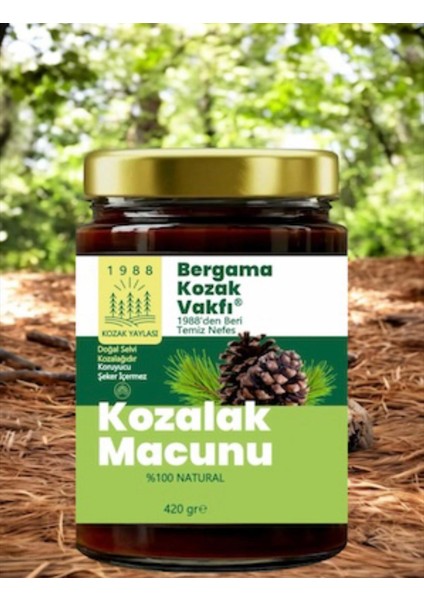Bergama Vakfı Kozalak Macunu 3X420 gr Aile Seti