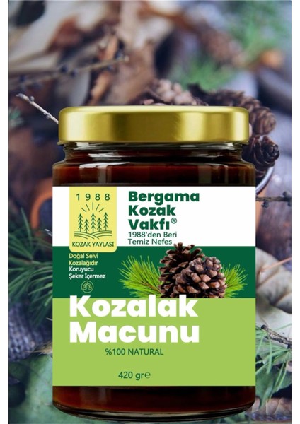 Bergama Vakfı Kozalak Macunu 3X420 gr Aile Seti