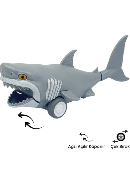 Sürtmeli Hayvanlar 2'li - Köpek Balığı ve Balina modelleri