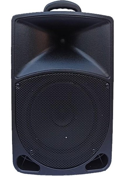 Rs 75 Bt+Usb-8 Inç 75 Watt-1 Adet Telsiz Kafa Mikrofonlu Anfi