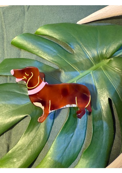 Köpek Mandal Toka (Ithal)