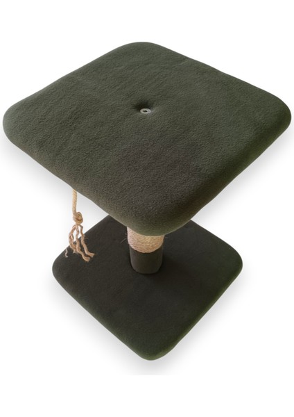 Miagatto Pluto Kedi Tırmalama Tahtası