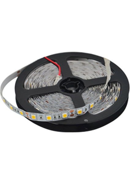 (12-4041) Helios Iç Mekan Günışığı Şerit LED 4040 modelleri