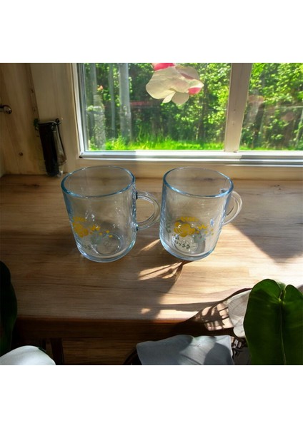 Rosery Kulplu Bardak 2li (Çiçek Desenli) 330 cc modelleri