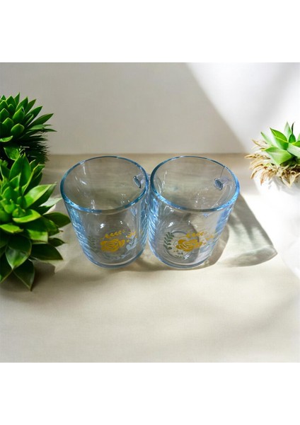 Rosery Kulplu Bardak 2li (Çiçek Desenli) 330 cc fırsatları