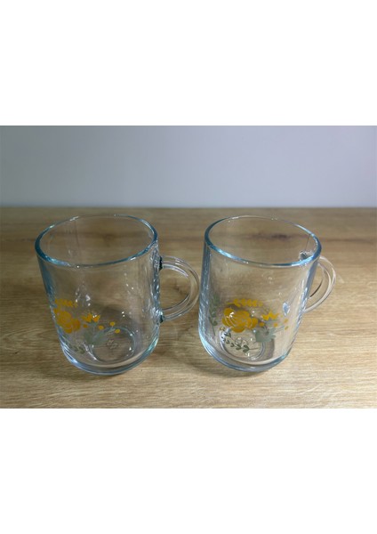 Rosery Kulplu Bardak 2li (Çiçek Desenli) 330 cc