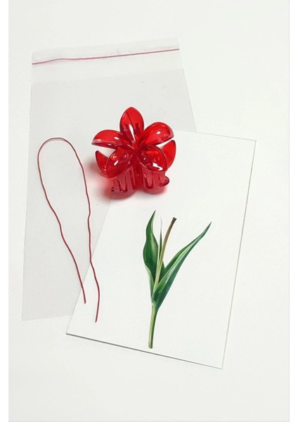 100 Adet Kırmızı Lotus Toka 6 cm Kına Seti