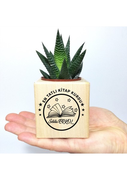 Kişiye Özel Isimli Kitap Temalı Küp Saksı ve Haworthia Sukulent - MK08