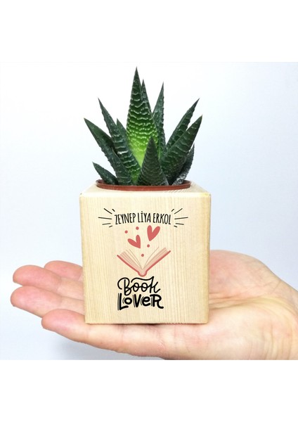 Kişiye Özel Book Lover Temalı Ahşap Küp Saksı ve Haworthia Sukulent - MK04