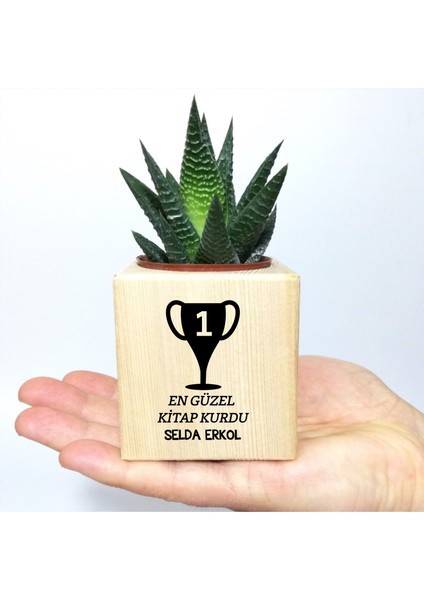 Kişiye Özel Isim Yazılı Ahşap Küp Saksı ve Haworthia Sukulent - MK01