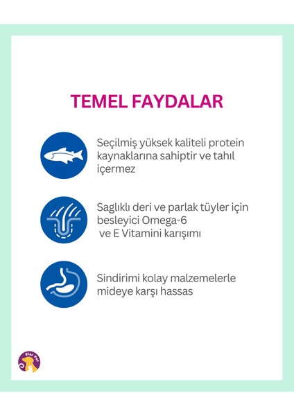 Hipoalerjenik Tahılsız Somonlu Küçük ve Mini Irk Yetişkin Köpek Maması 6kg modelleri