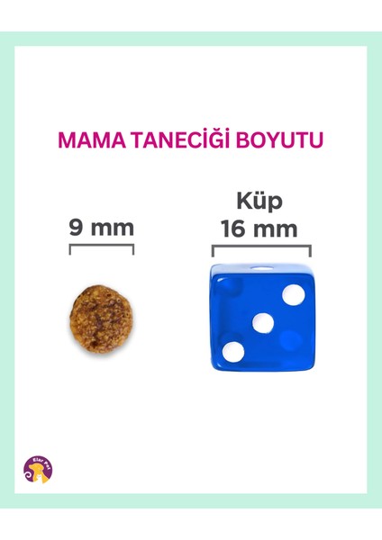 Hipoalerjenik Tahılsız Somonlu Küçük ve Mini Irk Yetişkin Köpek Maması 6kg fırsatları