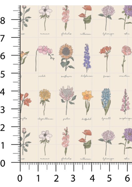 %100 Pamuk Saten Kumaş Panel – 6 Desenli Dijital Baskılı Tek Parça Patchwork Kumaş | 140 G/m², 155×100 cm