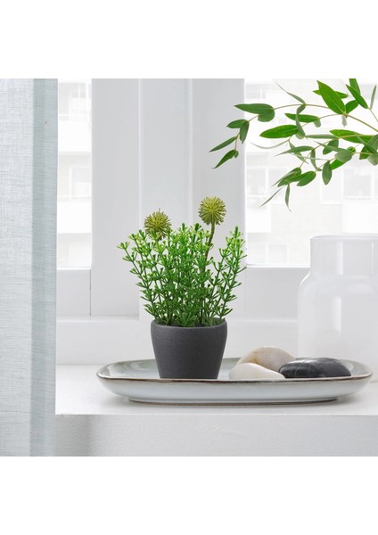 Persillade Toprak Saksı Koyu Gri 6 cm modelleri