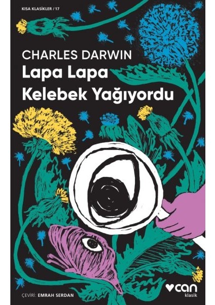 Lapa Lapa Kelebek Yağıyordu