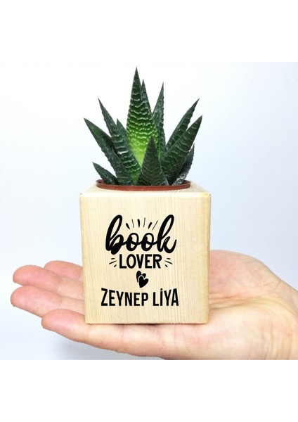 Kişiye Özel Kitapsever Temalı Küp Saksı ve Haworthia Sukulent - MK07