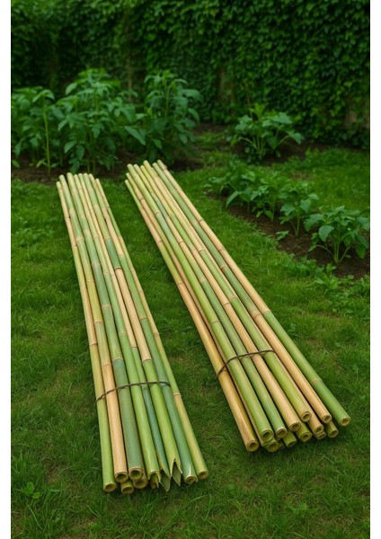 100 cm Doğal Bambu Çubuk 25-35MM 10 Adet