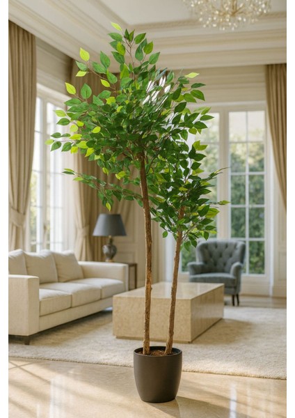 Yapay Benjamın Agacı 2 Gövdeli (150 ) cm