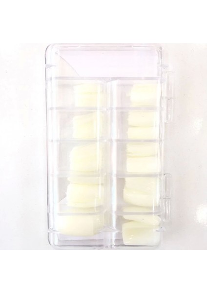 100'LÜ Takma Tırnak 059 ( Lisinya )