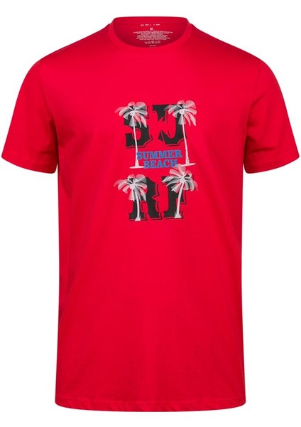 Alex Baskılı Erkek Sıfır Yaka T-Shirt 047 indirimleri