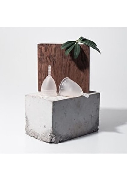 Adet Kabı- Model 2 Şeffaf Menstrual Kap modelleri