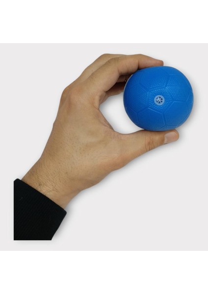 Köpek Oyuncağı - Plastik Düdüklü Top - Mavi (Lisinya) fiyatları