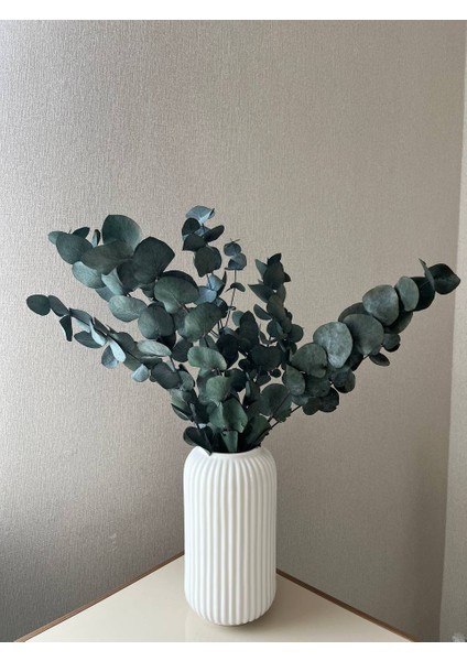 Okaliptus Demeti - Şoklanmış Okaliptus Kuru Çiçek (Yeşil)