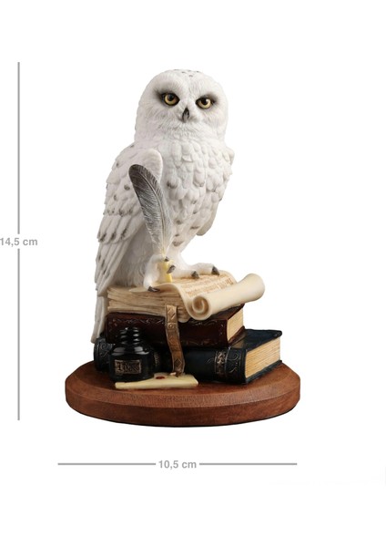 Kitap Üzerinde Beyaz Kar Baykuşu Hedwig Biblosu fiyatları