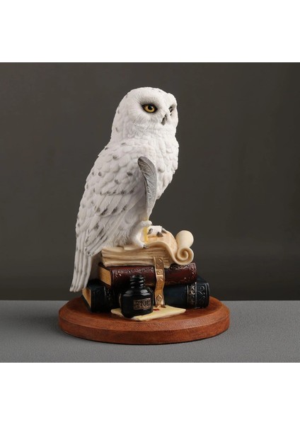 Kitap Üzerinde Beyaz Kar Baykuşu Hedwig Biblosu modelleri