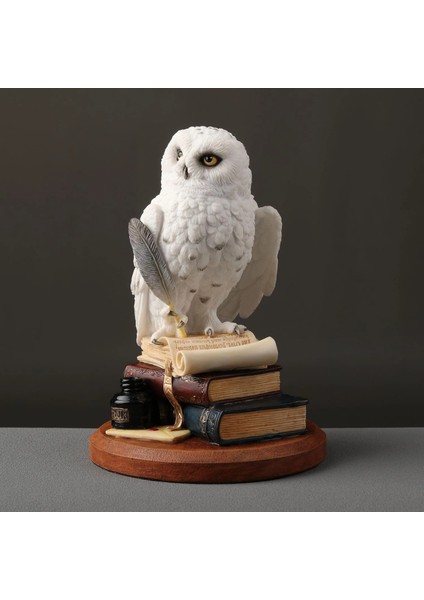 Kitap Üzerinde Beyaz Kar Baykuşu Hedwig Biblosu fırsatları