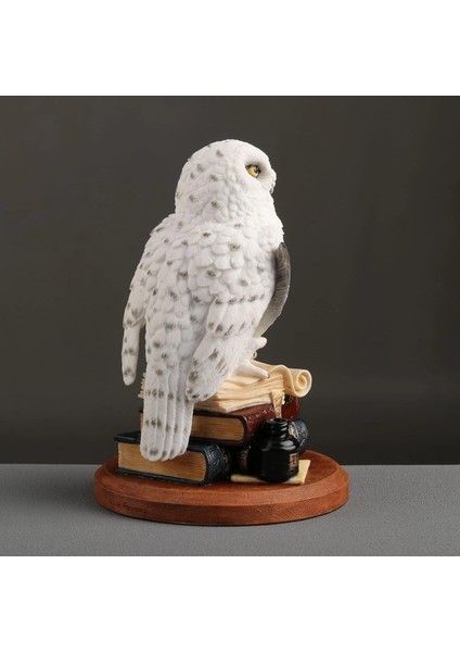 Kitap Üzerinde Beyaz Kar Baykuşu Hedwig Biblosu indirimleri