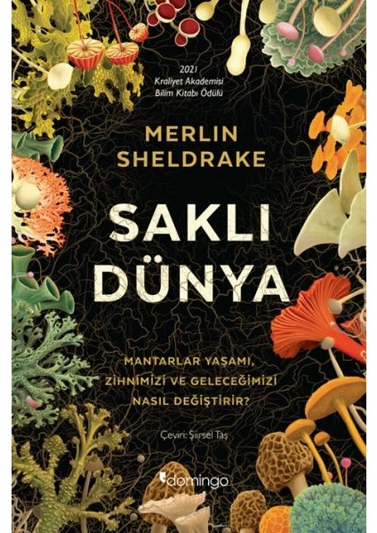 Saklı Dünya