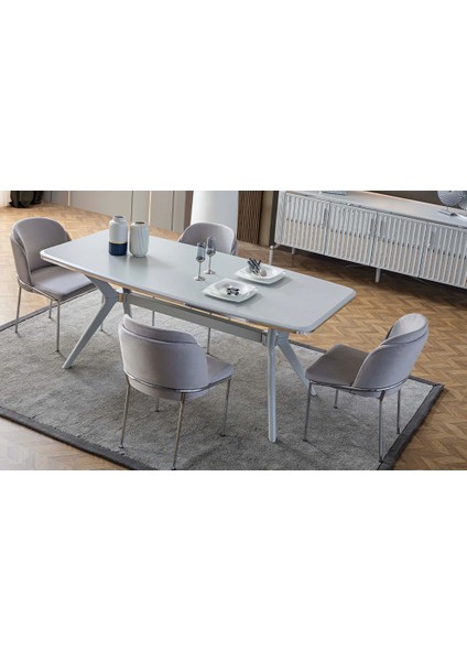 Metal Ayaklı Modern Sandalye