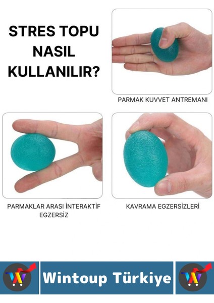 Ergonomik Stres Egzersiz Rehabilitasyon Fizyoterapi Silikon El Bilek Parmak Güçlendirme Topu 4lü Set fiyatları