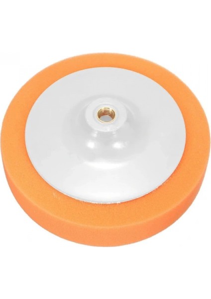 Oto Pasta Cila Süngeri modelleri