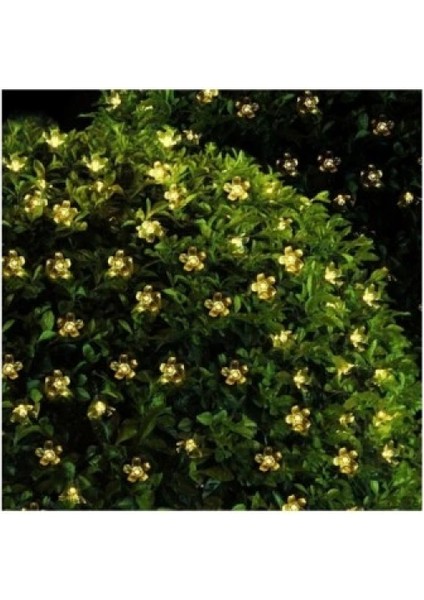 Solar Çiçekli Dekoratif 30 LED Bahçe Lambası fiyatları