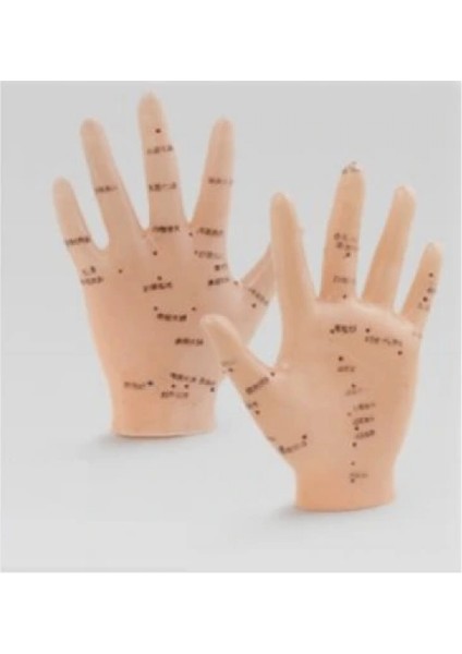 Enerji Akışı El Maketi