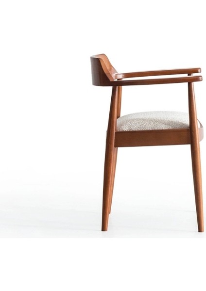 Ahşap Kollu Modern Sandalye fırsatları